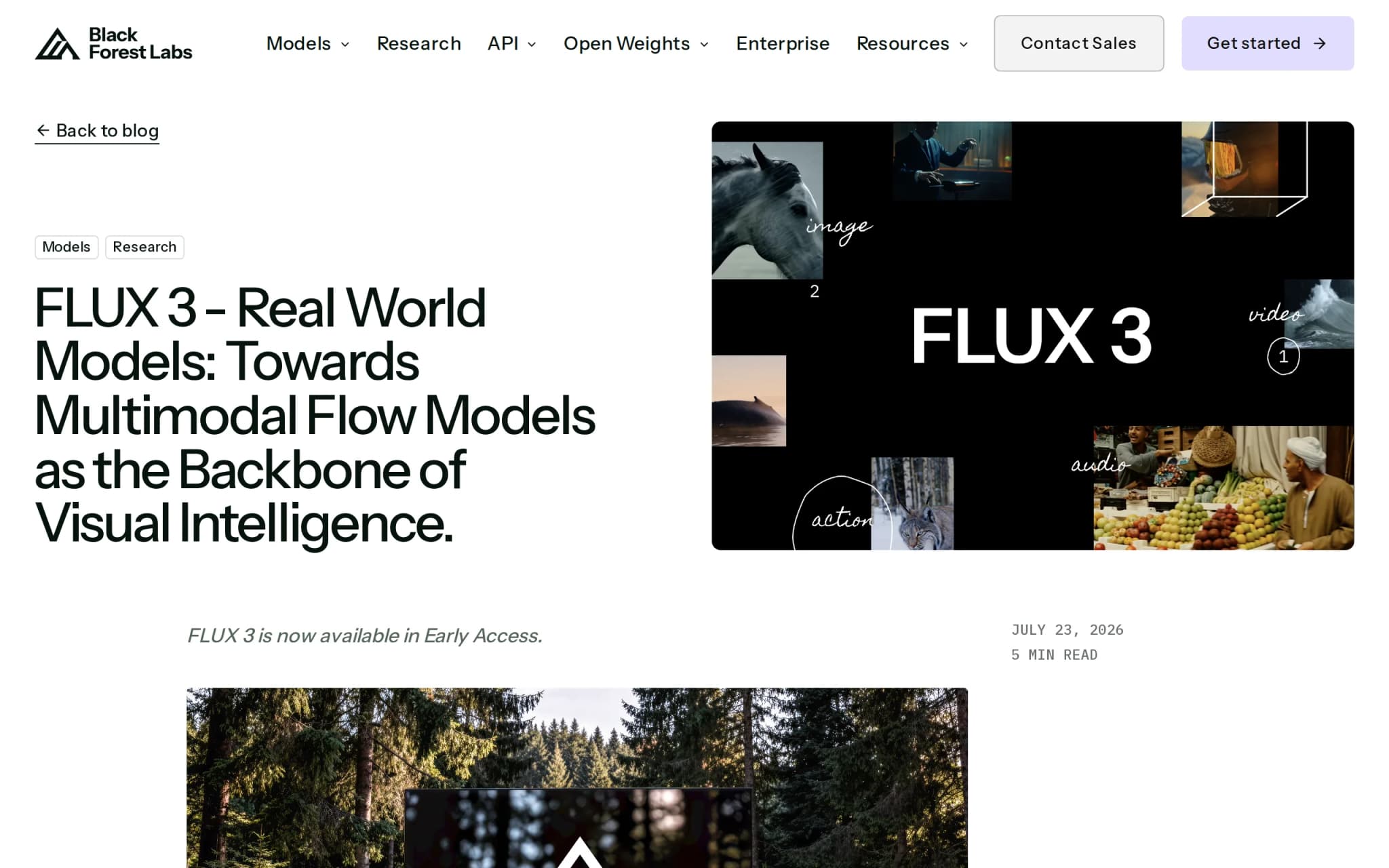 FLUX 3 – A Multimodal Foundation Model Launched by Black Forest Labs cover image