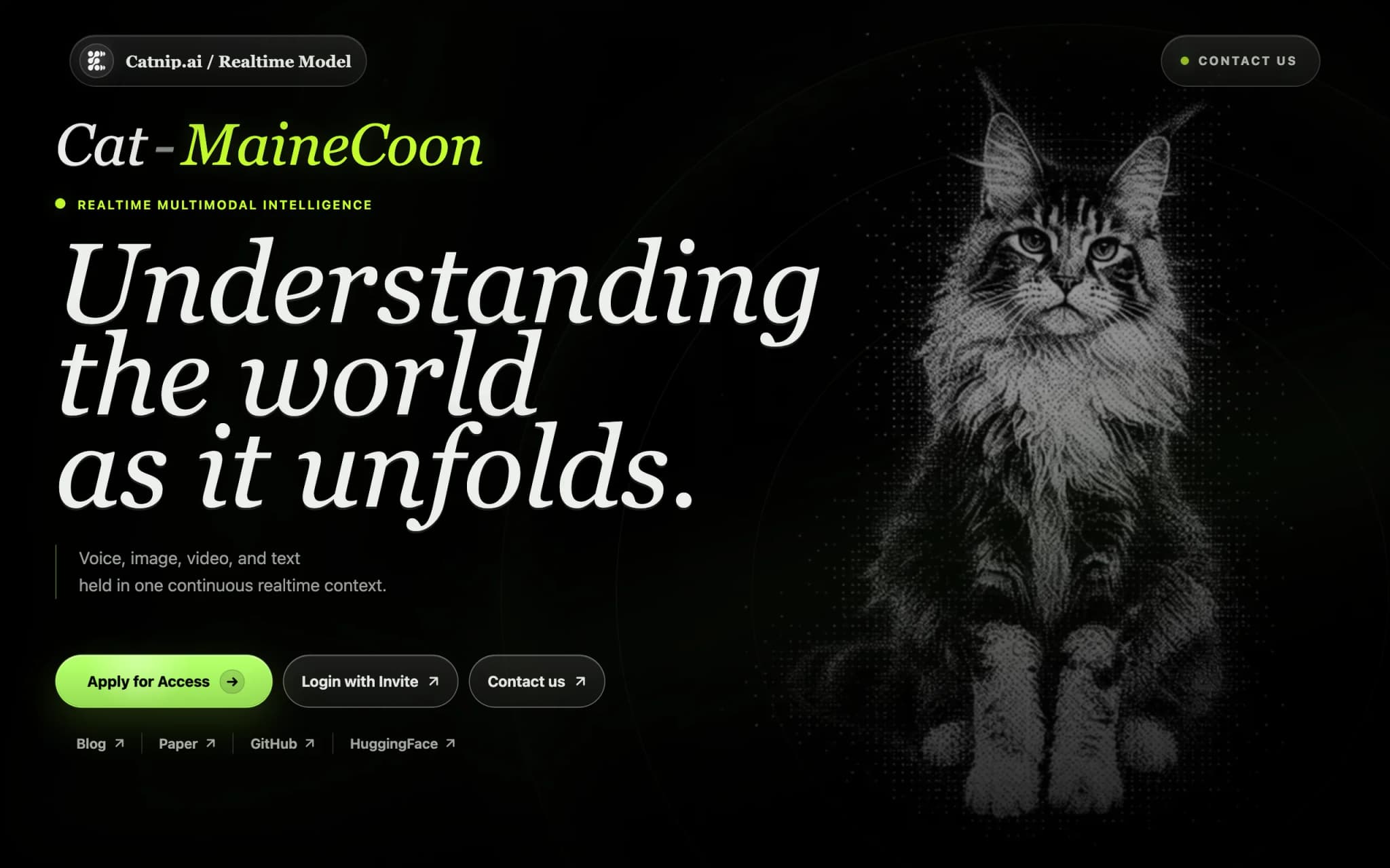 MaineCoon – Real-Time Audio-Visual World Model Built for Social Interaction cover image